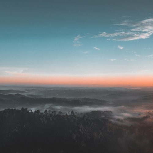 bird s eye view photography of green forest 1208379.jpg